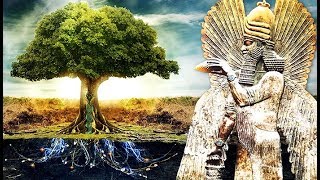 El Árbol de la Vida y el Destino de la Humanidad [upl. by Malita642]