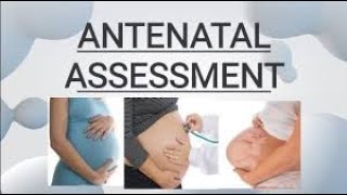 ANTENATAL ASSESSMENT  FULL DETAILS [upl. by Stulin]