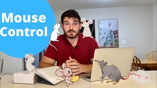 How To Get Rid of Mice  EVERYTHING You NEED to Know [upl. by Nameerf686]