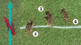 Cheat Sheet Analyze Your Divots to Fix Your Swing [upl. by Llatsyrc]