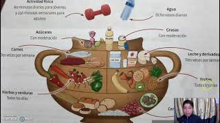 OLLA ALIMENTICIA [upl. by Felder]