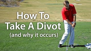 How to Take a Divot [upl. by Anihc]