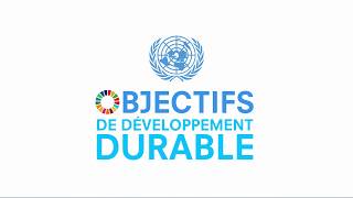 Connaissezvous chacun des 17 objectifs de développement durable [upl. by Danya43]