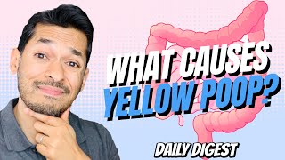 What Causes Yellow Poop [upl. by Ellette]