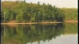 Henry D Thoreau  Walden Pond [upl. by Milburt858]