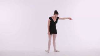 Absolute Beginner Ballet Class 1  Online Ballet Lesson [upl. by Syxela617]