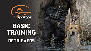 Basic Training  Retrievers [upl. by Pronty]