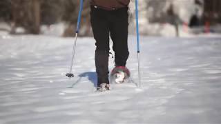 HowtoSnowshoe Learn the basics from the experts  LLBean [upl. by Nodnart]