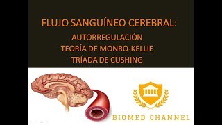 Flujo Sanguíneo Cerebral  Biomed Channel [upl. by Bow]