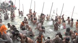 Naga Sadhus cluster for Shahi Snan at Triveni Sangam  Kumbh Mela [upl. by Yekcaj]