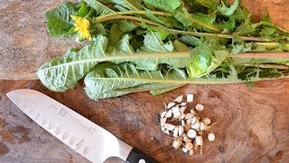 How to harvest prepare and use dandelion leaf and root for beauty and health [upl. by Nuy]