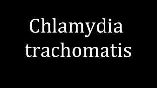 How to pronounce Chlamydia trachomatis [upl. by Thgirw]