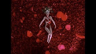 American Beauty 1999  Arose scene 1080 [upl. by Ennovahs116]