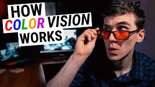 How COLOR VISION Works Types of Color Blindness Genetics amp Disease [upl. by Nelyk199]