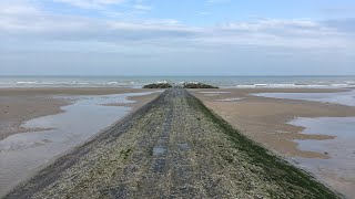 Live  Koksijde North Sea Belgium [upl. by Amluz]