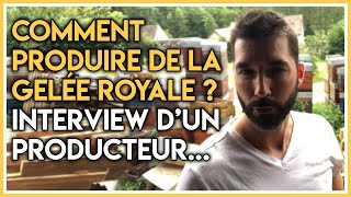 Comment produire de la gelée royale  Interview dun producteur de gelée royale BIO amp GRF part 12 [upl. by Leblanc]