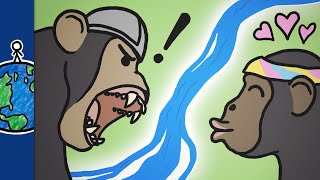 How This River Made Chimps Violent [upl. by Misaq]