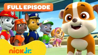 Rubble Joins the PAW Patrol and the Pups Save a Walrus  FULL EPISODES  Nick Jr [upl. by Lyssa]