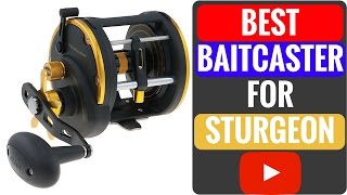 WOW Penn Squall 50LW Baitcaster Reel Review [upl. by Ainod]