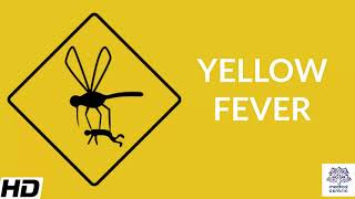 Yellow Fever Causes Signs and Symptoms Diagnosis and Treatment [upl. by Senalda476]