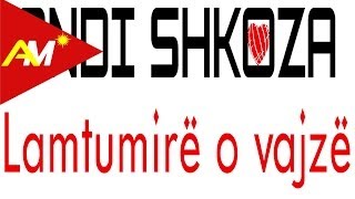 Andi Shkoza  Lamtumire o vajze Official Lyrics Video [upl. by Sidran254]