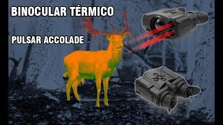 Review del binocular térmico Pulsar Accolade y Accolade LRF [upl. by Savitt549]