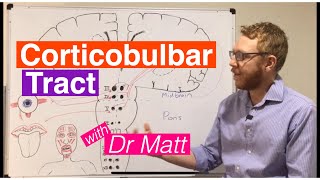 Corticobulbar Tract [upl. by Pedrotti228]