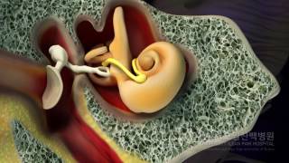 Facial nerve course 1 by JK and Cel [upl. by Koa]