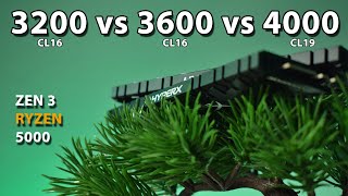 3200 vs 3600 vs 4000MHz RAM Ryzen 5 5600X Zen 3 Ryzen 5000 [upl. by Vergne]