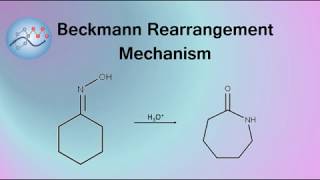 Beckmann Rearrangement Example Mechanism  Organic Chemistry [upl. by Nalepka73]