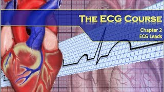 The ECG Course  Leads [upl. by Eelibuj818]