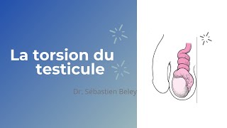 Dr Sébastien Beley La torsion du testicule [upl. by Chrystel]