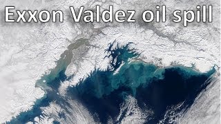 The Exxon Valdez oil spill [upl. by Orten827]