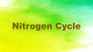 Nitrogen Cycle Nitrogen Fixation Nitrification Assimilation Ammonification and Denitrification [upl. by Nwahsan]