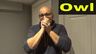 How To Whistle Like An OwlAnimal Sound Tutorial [upl. by Ocirema]