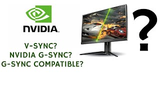 Should You Use G Sync with V Sync EXPLAINED [upl. by Nomrac]