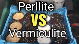 Perlite vs Vermiculite Whats the difference amp which to choose [upl. by Orten]