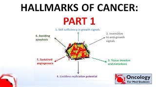 4 Hallmarks of Cancer part 1 [upl. by Dusa456]