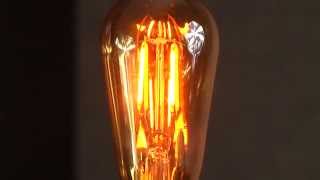 LED Edison Bulb Review [upl. by Siurad368]