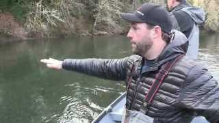 Olympic Peninsula Steelhead [upl. by Leuams]