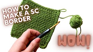 How To Single Crochet a Blanket Border  PERFECT FOR BEGINNERS [upl. by Amabel]