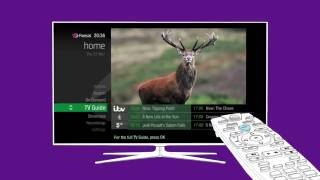 ON DEMAND WITH FREESAT [upl. by Krystal243]