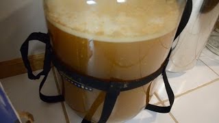 Homebrewing Basics Fermentation [upl. by Cartwright]