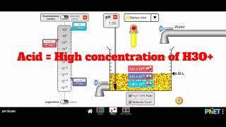 Calculating pH Tutorial Using the PHET pH Scale Simulation  Mr Pauller [upl. by Lj500]