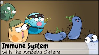 Immune System [upl. by Cykana]