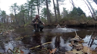 Wachusett Reservoir Salmon Fishing [upl. by Jack135]