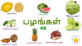 பழங்கள்  குழந்தை தமிழ்  Learn Tamil fruits name video for kids and children in Tamil  Flashcards [upl. by Nyrrat]