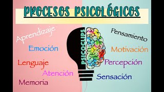 Procesos Psicológicos  ¿Qué es ¿Cómo funcionan EjemploResumenLibros [upl. by Nylra560]