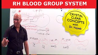 Rh Blood Group System  Dr Najeeb [upl. by Nola]