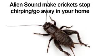 Alien Sound make crickets stop chirpinggo away 🦗 [upl. by James692]